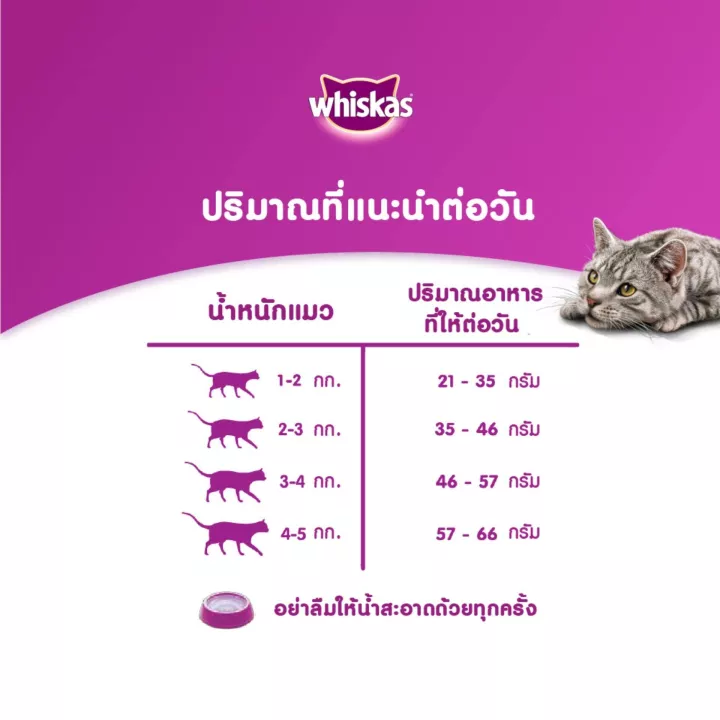 WHISKAS DRY CAT FOOD DRY POCKETS ADULT MACKEREL FLAVOUR 7 kg วิสกัส อาหารแมวชนิดแห้ง แบบเม็ด พ็อกเกต สูตรแมวโต รสปลาทู 7 กิโลกรัม อาหารสัตว์เลี้ยง อาหารแมว